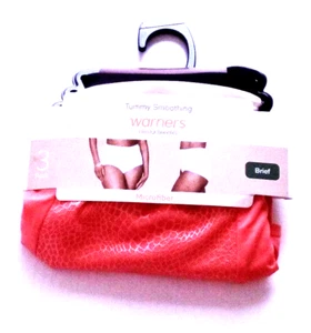 Warners Blissful Benefits Tummy-Smoothing Microfiber Brief 3-Pack RS4433, Sz: S - Picture 1 of 2