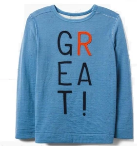 NWT GYMBOREE BOY GREAT! - BLUE LONG SLEEVE SHIRT LIGHT SWEATSHIRT - SIZE 7 8 MED - Picture 1 of 7