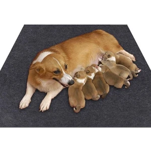 Whelping Box Liner Matte, waschbare und wiederverwendbare Welpenunterlage, Premium saugfähiges Urin... - Bild 1 von 7