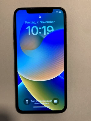 Apple iPhone X - 256GB - Space Grau (Ohne Simlock) - Bild 1 von 4