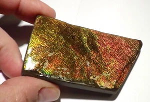 490 quilates!! I Coleccionista Ammolite /Escapa Dragón Verde-Dorado-Naranja + VIDEO - Imagen 1 de 5
