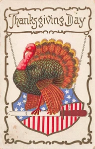 PATRIOTIC THANKSGIVING TURKEY BALANCED ON A KNIFE 1908 VINTAGE POSTCARD 092425 U - Picture 1 of 2