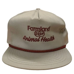 Gorra ajustable vintage Farmland CoOp salud animal hecha en EE. UU. gris claro - Imagen 1 de 23