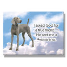 WEIMARANER True Friend From God FRIDGE MAGNET New DOG