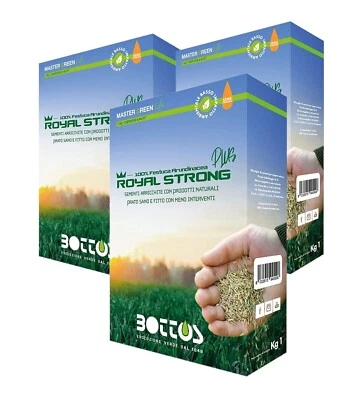 Bottos - ROYAL STRONG PLUS - Semi Prato per 120mq - 3pz X 1kg
