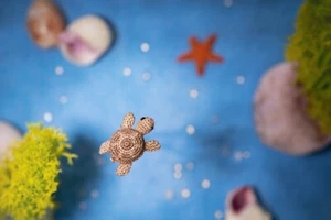 Miniatur Häkelfilz Meerestier: Meeresschildkröte, nautisches Mikrogeschenk - Bild 1 von 1