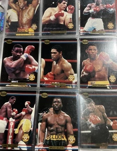 1991 Ring Lords - Kayo Boxing Cards 254 Cards Total. Ultra Pro Pages In Notebook - Bild 1 von 24