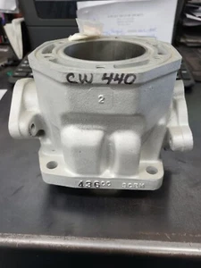 Arctic Cat Cylinder 440 Liquid Re-plated 3003-748 Pantera, Zl 440, Cougar - Picture 1 of 4