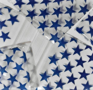 1000 SMALL BAGGIES 1515 1.5" X 1.5" MINI Resealable BLUE STAR (10 packs x 100) - Picture 1 of 2