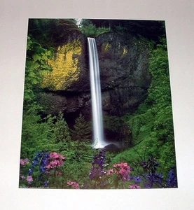 FLORAL FALLS LANDSCAPE PHOTO POSTER - 16X20 - 1993 - Bild 1 von 1