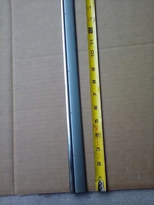 2005 - 2006 CHRYSLER 300 Front Door MOLDING Right passenger side OEM paint PP4 - Picture 1 of 9