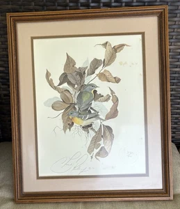 C. FORD RILEY BIRD L/E PRINT COMUNE YELLOWTHROAT WARBLER firmato numerato 304/800 - Foto 1 di 13