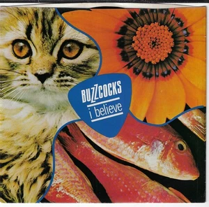 BUZZCOCKS/I BELIEVE/SOMETHINGS GONE WRONG  7" W/ PIC SLEEVE VG+/VINYL NM - Imagen 1 de 3
