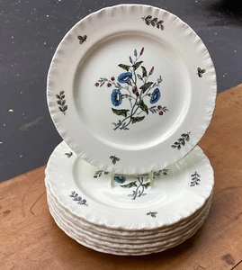 Wedgwood~ Williamsburg Wild Flowers - Set of Eight Salad Plates ~ 8 inch - Picture 1 of 2
