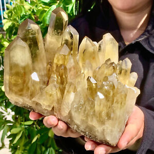4.46LB Natural Citrine cluster mineral specimen quartz crystal healing