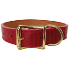 Auburn Leather - Savannah Embossed Pet Collar - 13"-16" - Red
