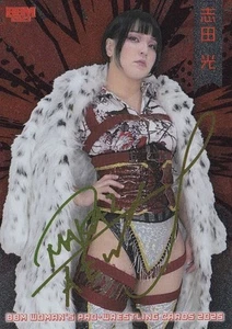 Hikaru Shida 2025 BBM Woman's Pro Wrestling Kira Foil #060 - Picture 1 of 2