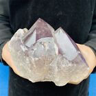 2950g Natural Beautiful Amethyst Single Point Specimen Collectibles