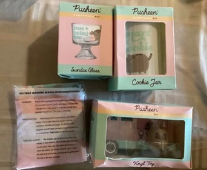 Pusheen Box 2021 Summer Ice Cream Lot of 4 Items Vinyl, jar, apron, sundae glass - Picture 1 of 1