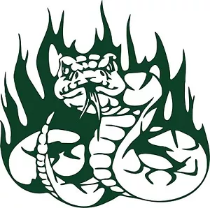 Snake Serpent Reptile Predator Flame Car Truck Window Laptop Vinyl Decal Sticker - Foto 1 di 2