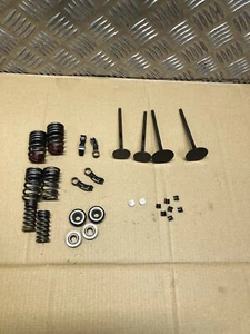BMW S1000 RR K67 S1000 XR K69 CYLINDER HEAD VALVES SPRINGS ROCKERS SET 2019 On - Picture 1 of 24