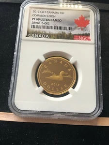 2017  Canada $1 Loon Dollar  NGC**PF-69 UC  Sterling Silver Gold Plated**Bx 12 - Picture 1 of 6