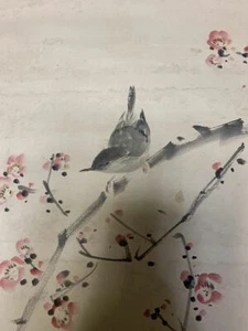 PINTURA JAPONESA PERGAMINO COLGANTE JAPÓN CIRUELA RUCA ANTIGUA E981 - Imagen 1 de 9