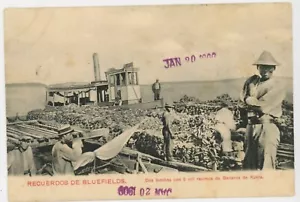 Cartolina d'epoca 1909 Nicaragua Campi Blu Banane Chiatta di Kukra Aleman Foto - Foto 1 di 2