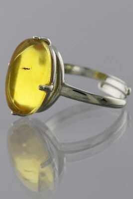 Anillo Ajustable Plata Ámbar Báltico Genuino Inclusión Insecto Fósil 191030-1 Foto 1 de 4