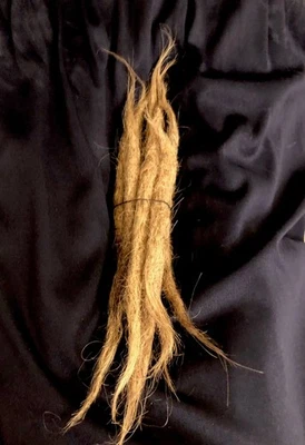 Extensiones de rastas de cabello humano marrón rubio locs 6-8” rastas 8 piezas en total Foto 1 de 4
