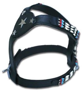 Ledergeschirr Cheyenne Star BRAUN Indianerlook Akita Husky Vizsla Hund Geschirr - Bild 1 von 1