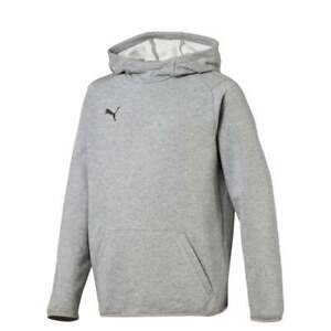 Puma Liga Casuals Pullover Hoodie Youth Boys Grey Casual Outerwear 655636-33