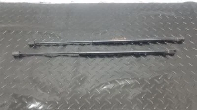 Par de puntales de soporte de vidrio para puerta levadiza GMC Envoy 02-09 OEM 15093449 Foto 1 de 4