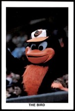 1984 Postcard BRF The Bird Mascot Baltimore Orioles #NNO