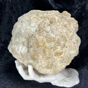 7” Large Unopened Geode Rattler Quartz Crystal Uncut Crack Break Your Own 8.7Lb - Picture 1 of 8