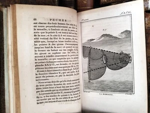 1802 BUFFON - NATURAL HISTORY OF FISHES With Engravings - Picture 1 of 24