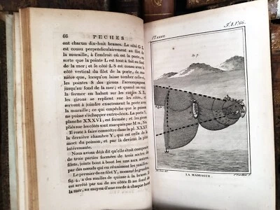 1802 BUFFON - NATURAL HISTORY OF FISHES With Engravings - Image 1 of 4