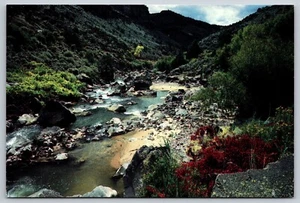 Postcard New Mexico Rio Grande Gorge 22A - Picture 1 of 2