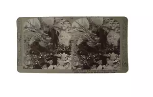 Vista estéreo de la Primera Guerra Mundial AYUDANDO A HERIDOS DE ANTEMANO EN HOOGE YPRES C1918 Foto 3D - Imagen 1 de 3