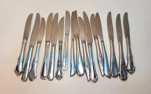 Vintage Lot of 16 Flatware Dinner Knives - Picture 1 of 13
