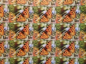 35 x Polonia Polska 2517 estampado arco mariposas mariposa zorro grande - Imagen 1 de 3