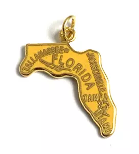 Florida State Charm Emaille | Goldfarben | Gelb | 3/4" | New Old Stock - Bild 1 von 2