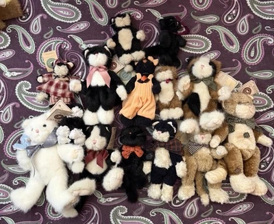 Lote de 14 gatos o gatitos de peluche Boyds Bears Foto 1 de 4
