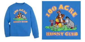 Size 3 Winnie The Pooh & Pals Embroidered Blue Disney Sweatshirt NIP - Picture 1 of 1