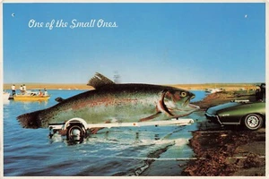 Angelhumor mit ""Einer der Kleinen"" übertriebener Fang Fisch Vintage Postkarte - Bild 1 von 2