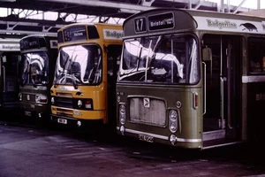 1986 Original Bus Slide Badgerline OAE 954M and BOU 3V Ref 8894 - Picture 1 of 1
