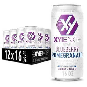 Xyience Blueberry Pomegranate Energy Drink, 16 fl oz can (Pack of 12) - Picture 1 of 3