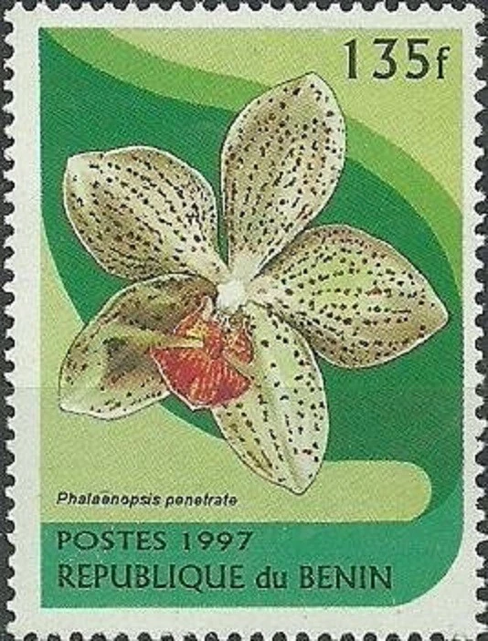 REPUBLIC OF BENIN - 1997 - Orchid - Phalaenopsis Penetrate - MNH Stamp - #973 - Image 1 of 1