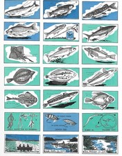 CIGARETTE/TRADE/CARDS.Liam Devlin (Dublin).IRISH FISHING.(1962).(Full Set of 48)