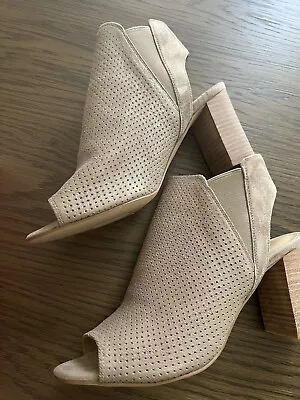 Dije Blanch talla 9,5 M de Vaneli Platino (platino) Foto 1 de 4